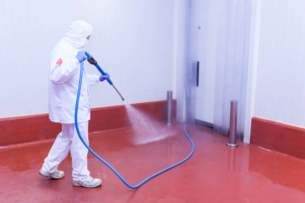 Trusted Colonial Beach, VA Pressure Washing Services Experts